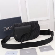 Christian Dior Waist Chest Packs